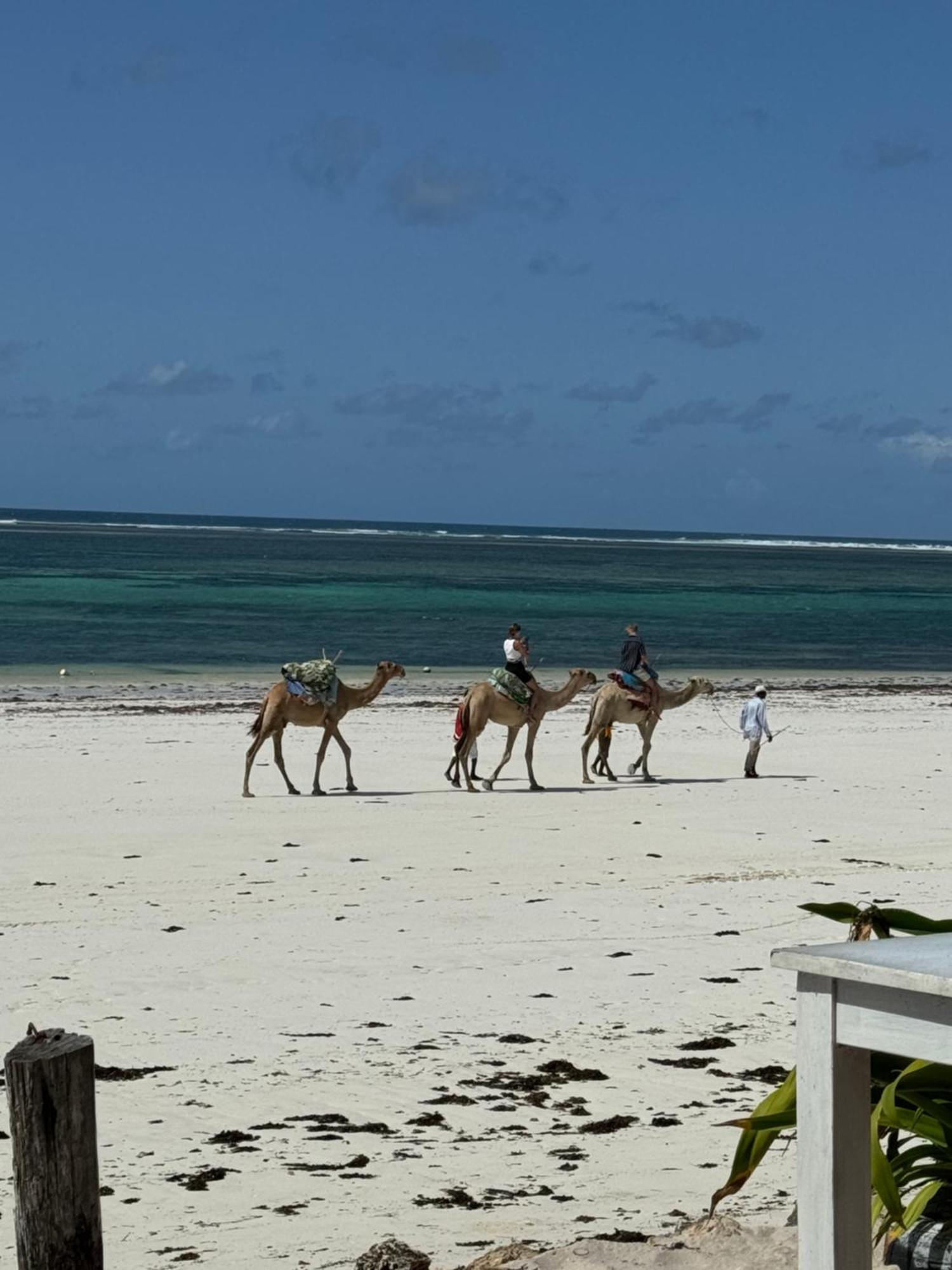 Ocean Paradise Beach Apartment Galu Luaran gambar